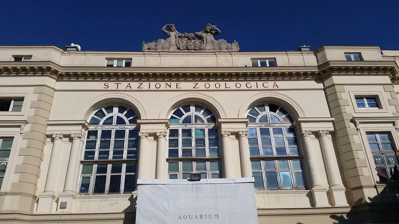 Ai Baretti B&B Neapol Nocleg ze śniadaniem